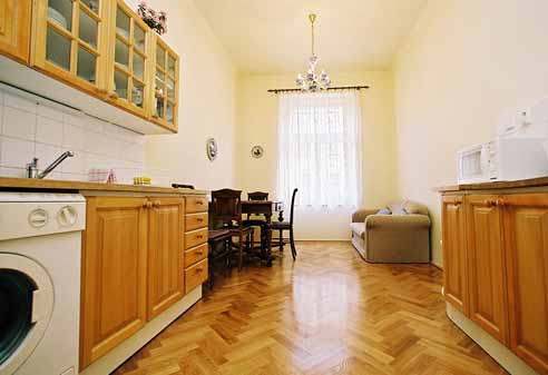 
Kitchen of the Luzicka apartment, an apartment in Prague. Accommodation in Prague offered by Apartments in Prague, apartments in Prague.
