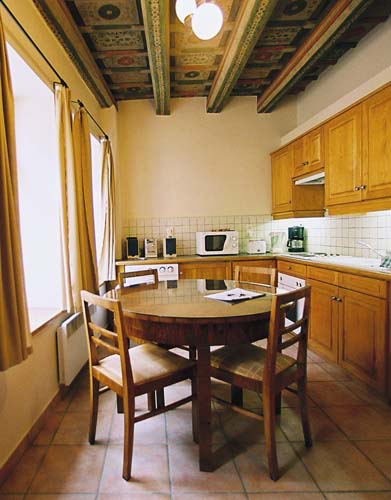 Kitchen of Vlasska 5. Vlasska 5, an apartment offered by Prague Accommodations, is close to Prague Castle and the Lesser Town Square.